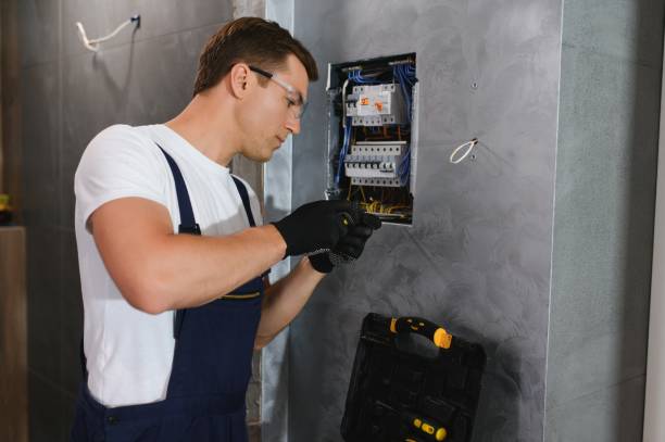Best Electric Panel Repair  in Pharr, TX
